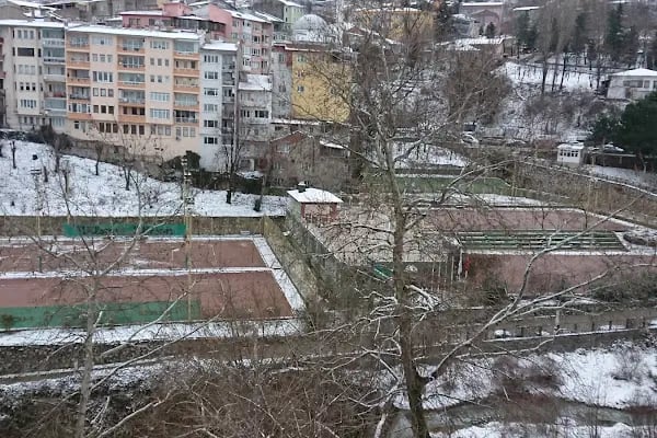 Dsi Tenis Kortları - Resim 2