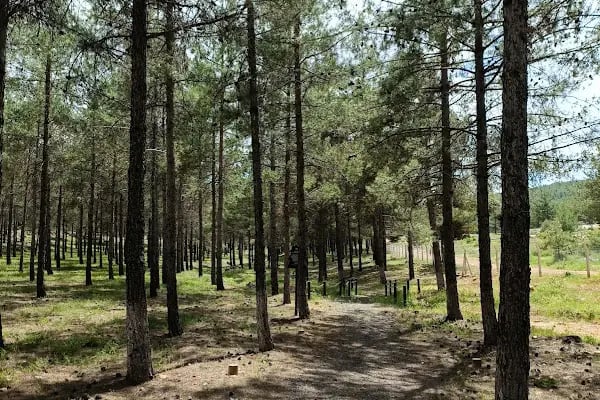 Yamaçtepe Tabiat Parkı - Resim 5
