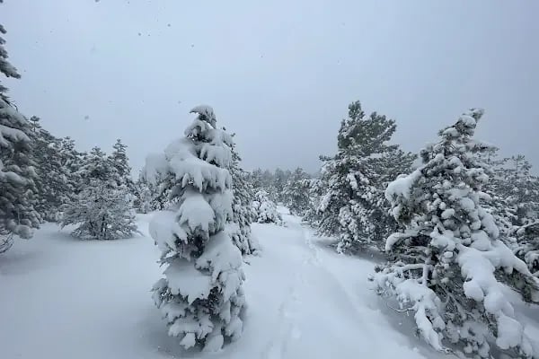 Yamaçtepe Tabiat Parkı - Resim 18