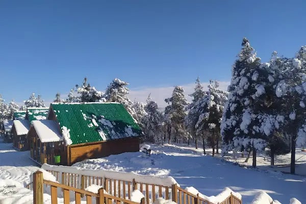 Yamaçtepe Tabiat Parkı - Resim 16