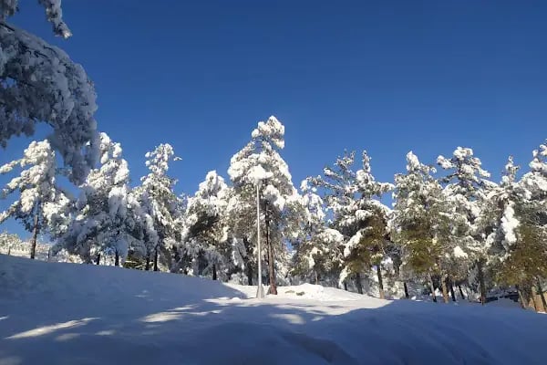 Yamaçtepe Tabiat Parkı - Resim 6