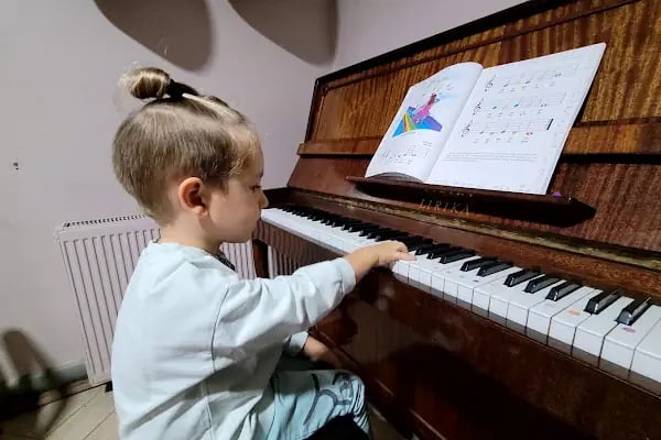 "BAGSAD" BAŞAKŞEHİR SANAT AKADEMİSİ / Müzik Aletleri - Resim 2