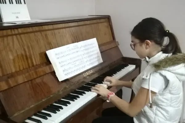 "BAGSAD" BAŞAKŞEHİR SANAT AKADEMİSİ / Müzik Aletleri - Resim 8