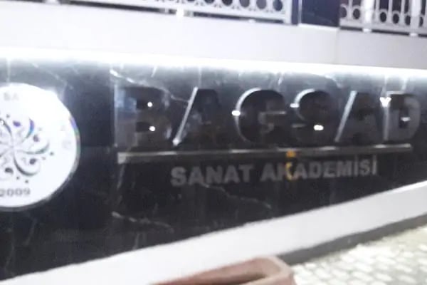 "BAGSAD" BAŞAKŞEHİR SANAT AKADEMİSİ / Müzik Aletleri - Resim 10