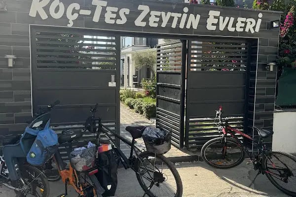 Koç-tes Zeytin Evleri - Resim 2