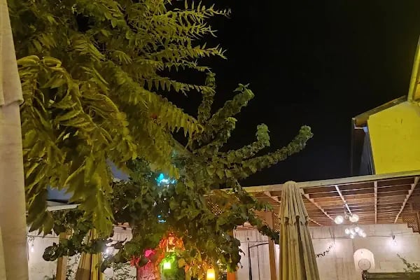 KEHRİBAR CAFE - Resim 18