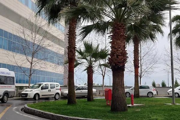 Mersin Şehir Eğitim ve Araştırma Hastanesi - Resim 16