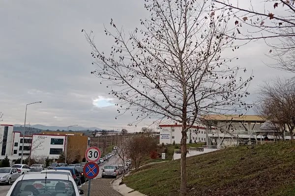 MCBÜ, Fen Edebiyat Fakültesi, İnsan ve Toplum Bilimleri Fakültesi - Resim 5