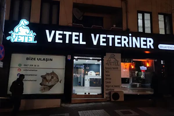Vetel Veteriner - Resim 9