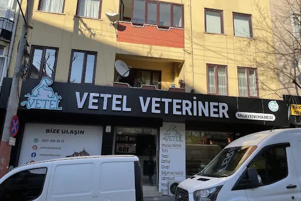 Vetel Veteriner - Resim 17