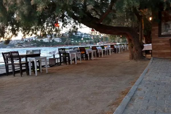 Safir Evleri - Resim 19