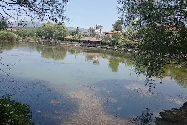 UCARI LAKE - UCARI GÖLETİ - Resim 12