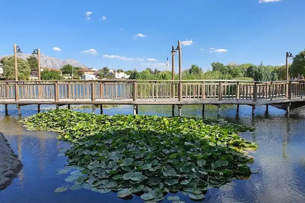 UCARI LAKE - UCARI GÖLETİ - Resim 19
