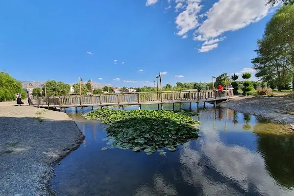 UCARI LAKE - UCARI GÖLETİ - Resim 10