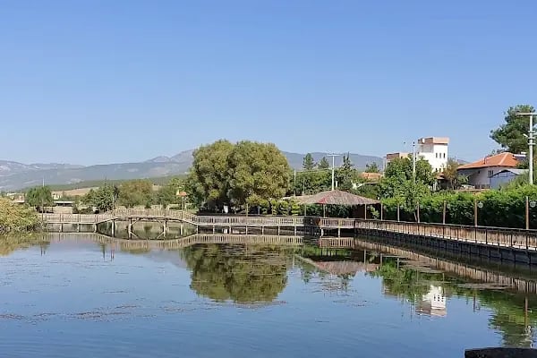 UCARI LAKE - UCARI GÖLETİ - Resim 2