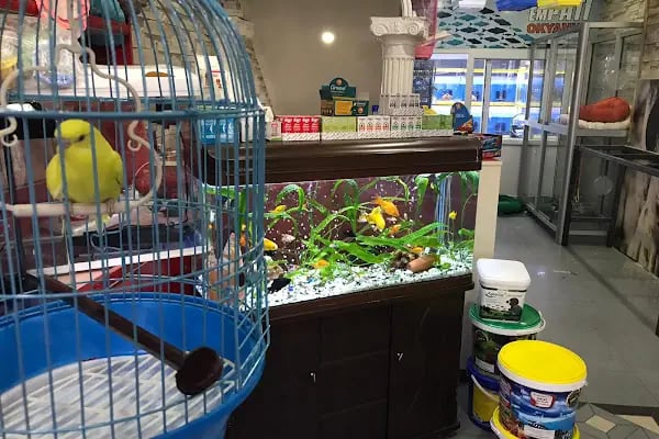 Empati petshop - Resim 4