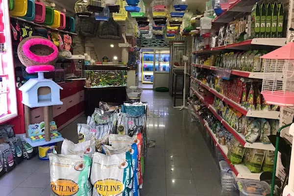 Empati petshop - Resim 10