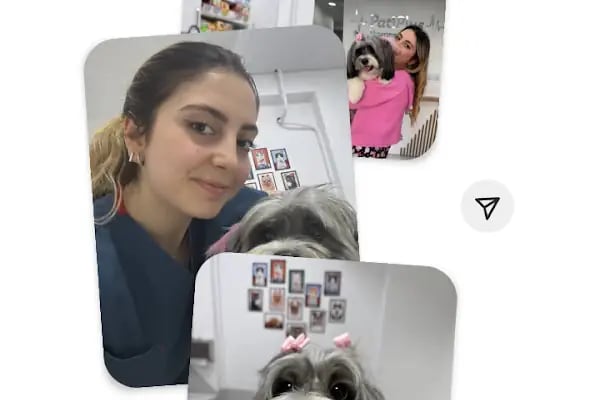 PATİPLUS VETERİNER KLİNİĞİ - Resim 14