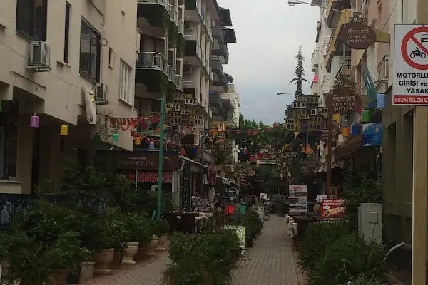Saray Mahallesi Muhtarlığı - Resim 6