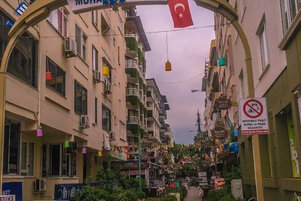 Saray Mahallesi Muhtarlığı - Resim 2