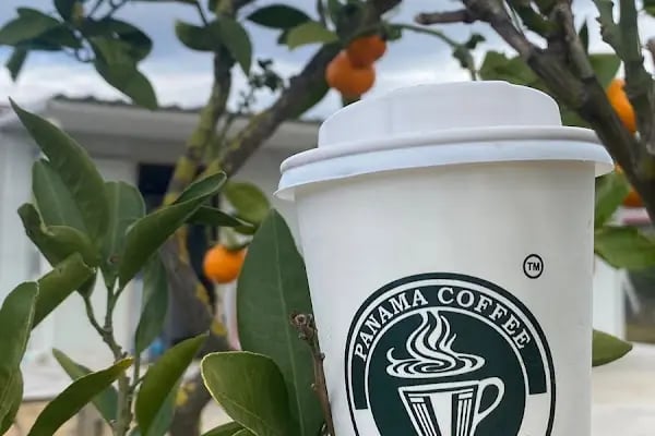 Panama Coffee Forbes - Resim 5