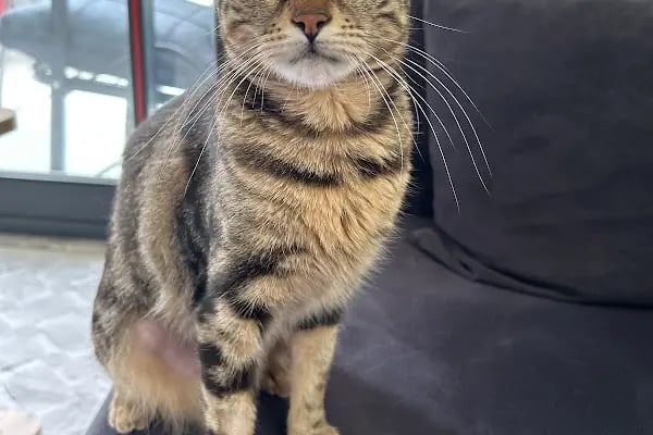 Vetbucks Veteriner Kliniği - Resim 9