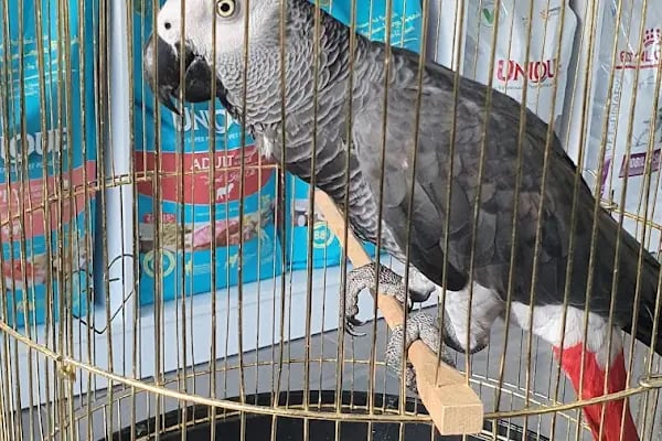 Vetbucks Veteriner Kliniği - Resim 16