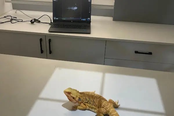 Vetbucks Veteriner Kliniği - Resim 19