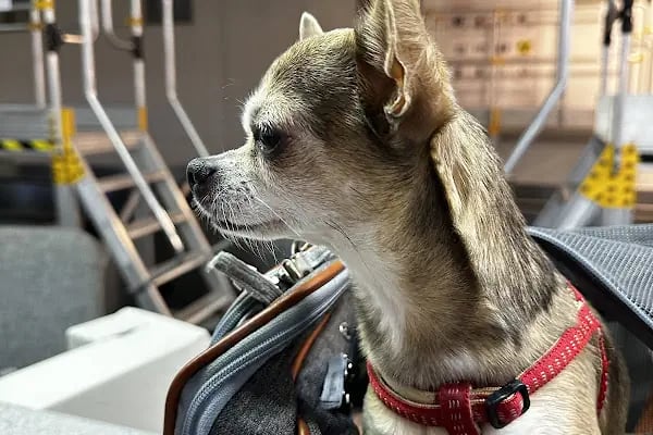 Vetbucks Veteriner Kliniği - Resim 4