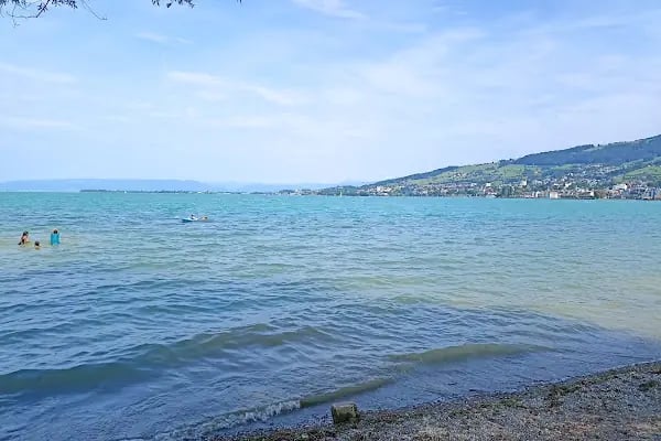 Adana Kürek ve Kano Spor Kulübü - Resim 2