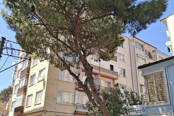 Gemlik Gençlik Hizmetleri ve Spor İlçe Müdürlüğü - Resim 4