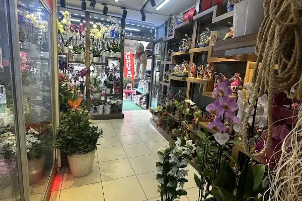 ÇİÇEKÇİM34 SANİYE - Resim 2
