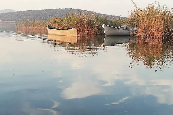 Akçalar Ulubat Gölü - Resim 5