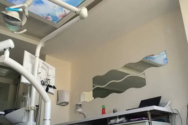Diş Hekimi Barış Berker DentALİAĞA Diş Kliniği - Resim 2