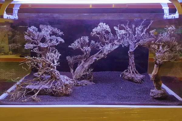Can Akvaryum Pet Store Pet Kuaför Alo Mama Hattı - Resim 1