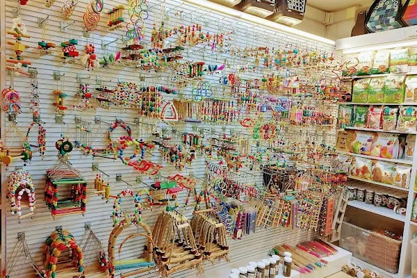 Can Akvaryum Pet Store Pet Kuaför Alo Mama Hattı - Resim 11
