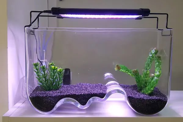 Can Akvaryum Pet Store Pet Kuaför Alo Mama Hattı - Resim 12