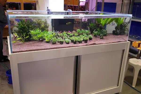 Can Akvaryum Pet Store Pet Kuaför Alo Mama Hattı - Resim 17