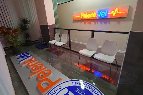 Pelenk Veteriner Kliniği / Kleintierpraxis / Pet Clinic - Resim 19