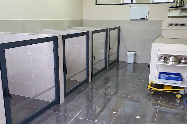 Pelenk Veteriner Kliniği / Kleintierpraxis / Pet Clinic - Resim 5