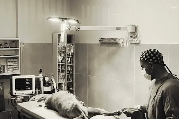Pelenk Veteriner Kliniği / Kleintierpraxis / Pet Clinic - Resim 7