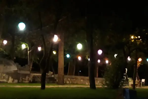 Saklı Bahçe - Resim 9