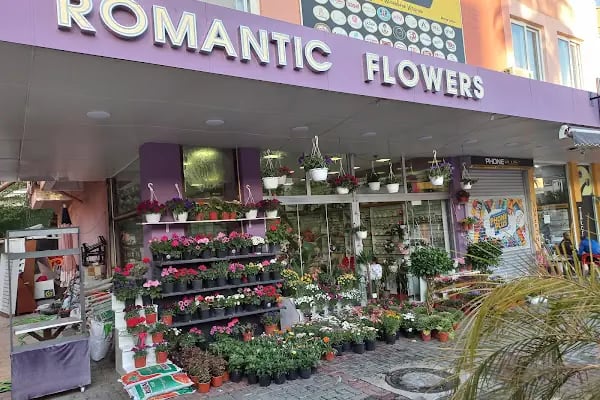 ALANYA ROMANTIC FLOWERS - Resim 17