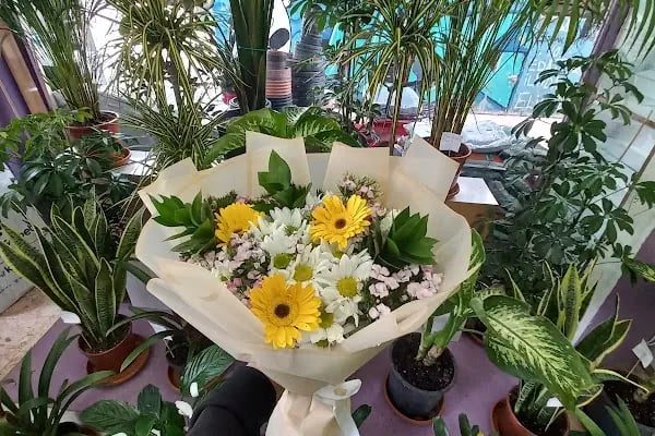 ALANYA ROMANTIC FLOWERS - Resim 8