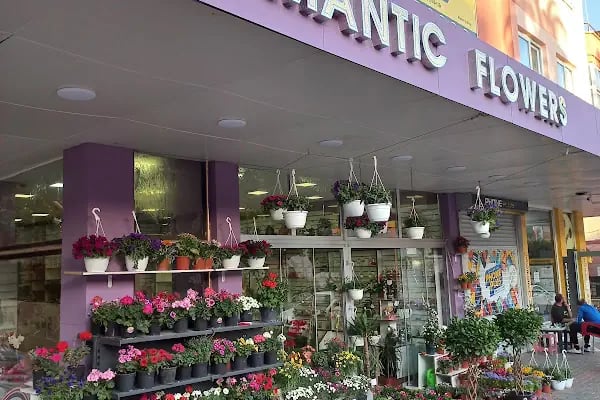 ALANYA ROMANTIC FLOWERS - Resim 1