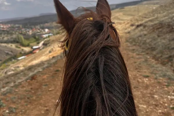 Birlik Atlı Spor Klubu - Resim 8