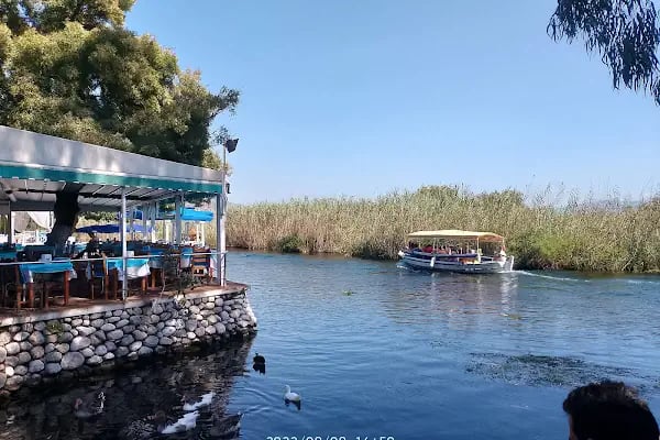 Maydanoz Gökova Akyaka - Resim 11