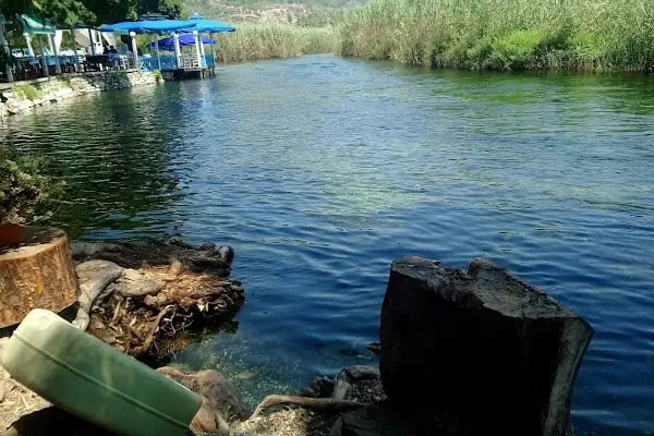 Maydanoz Gökova Akyaka - Resim 13