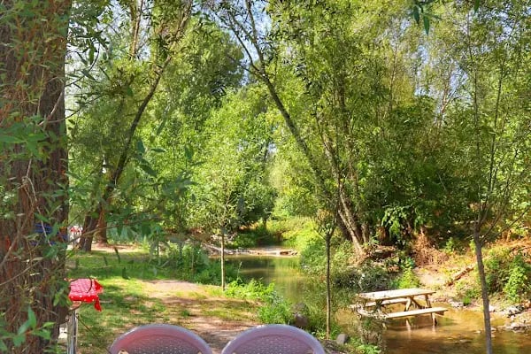 Asil Cafe &amp; Kahvaltı Gözleme Evi - Resim 2