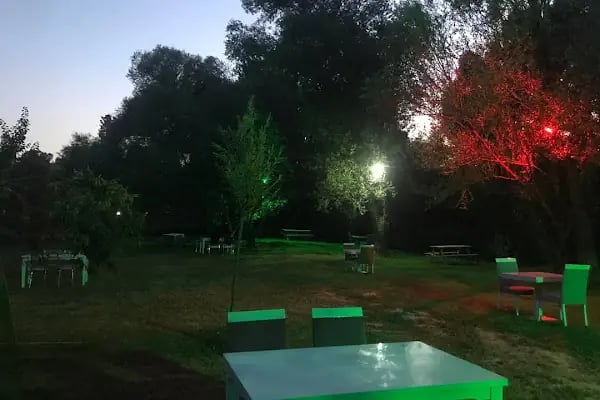 Asil Cafe &amp; Kahvaltı Gözleme Evi - Resim 20
